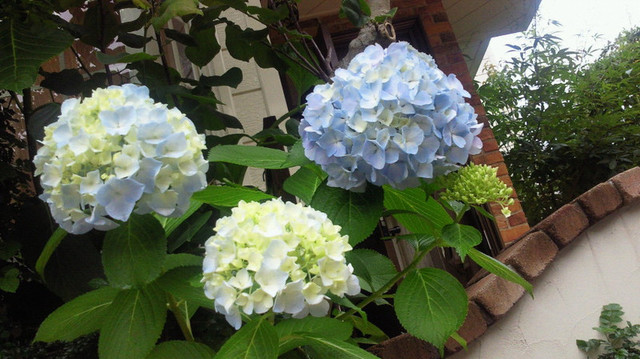 2011061717270000